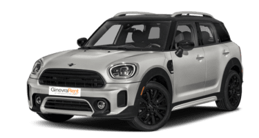 One D Business Countryman
