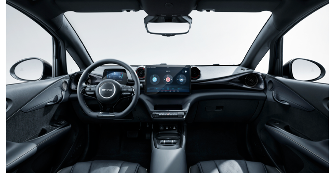 byd dolphin interni
