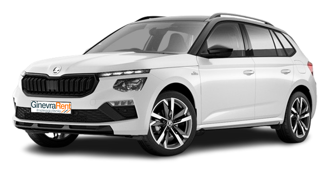 noleggio lungo termine skoda kamiq