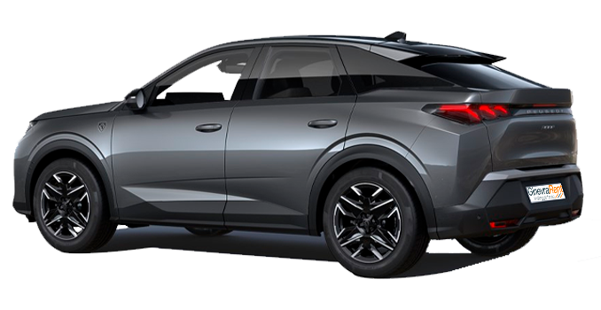 Peugeot 3008 N1 - immagine 2
